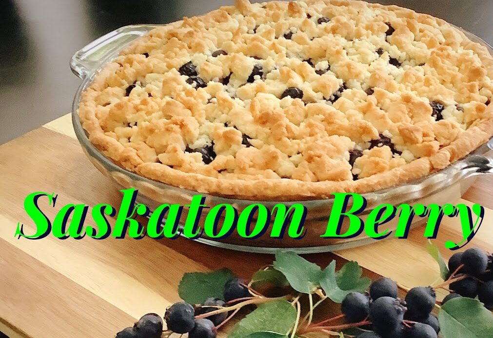 Traditional Saskatoon Berry Pie
